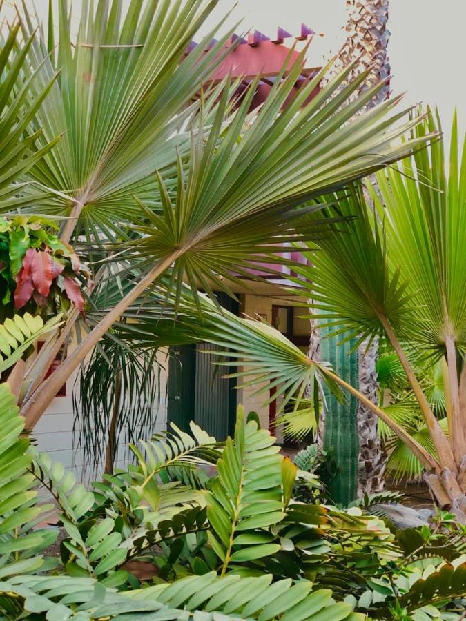Apart.Relax Costa Del Silencio Exterior foto